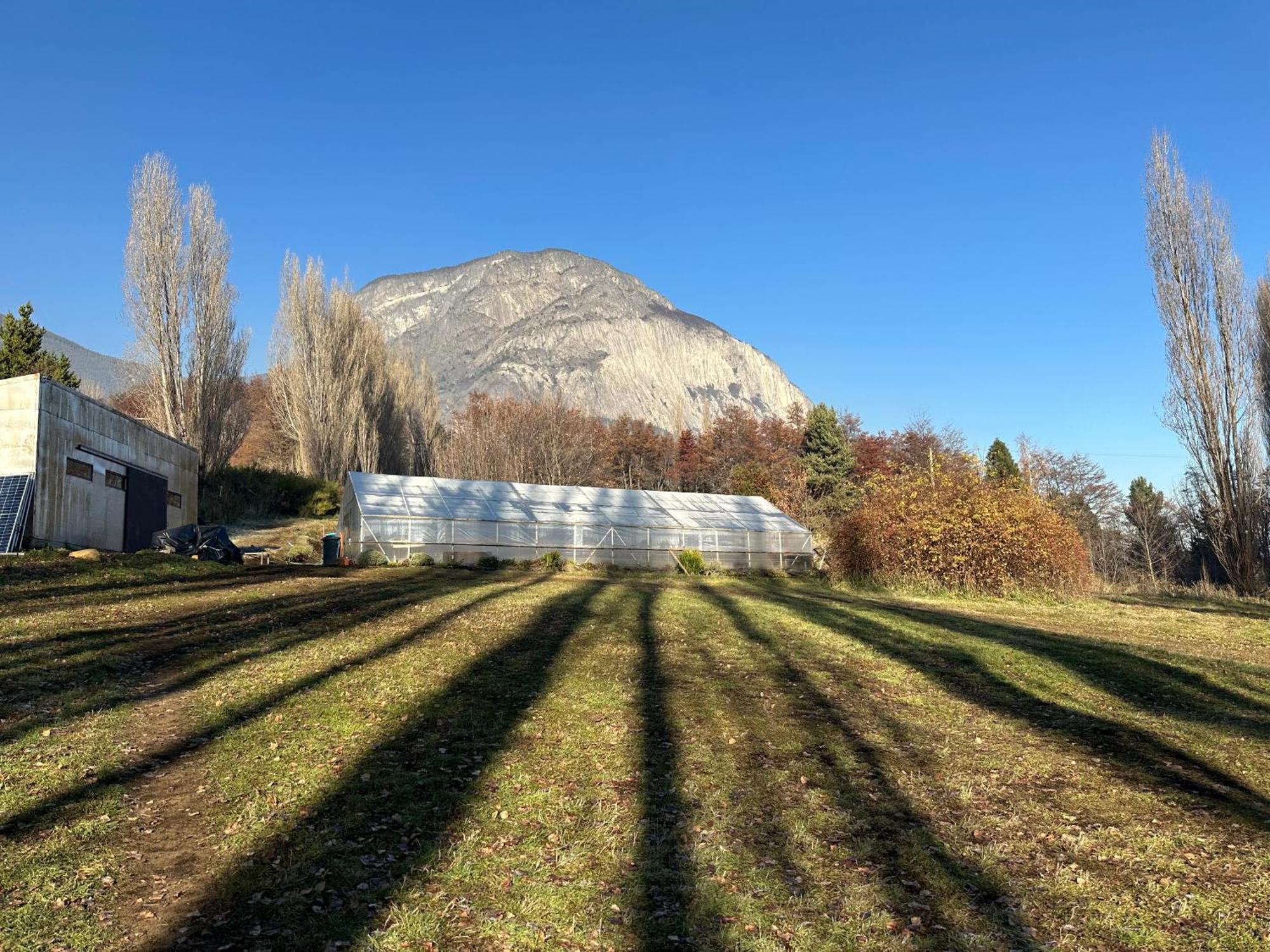 Hotel Patagonia House Coyhaique Eksteriør billede
